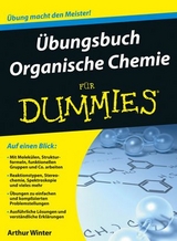 Übungsbuch Organische Chemie für Dummies - Arthur Winter