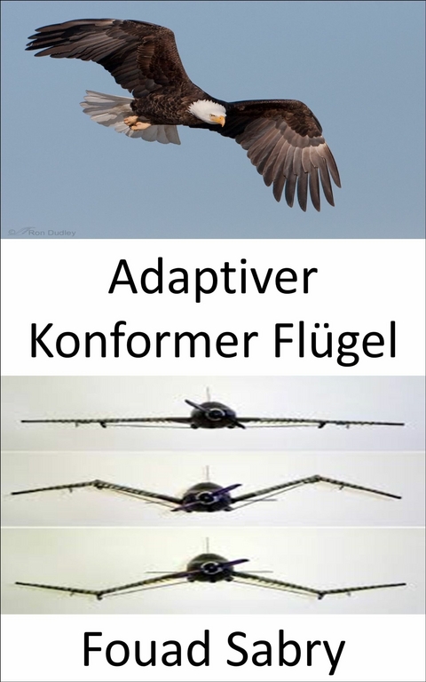 Adaptiver Konformer Flügel -  Fouad Sabry