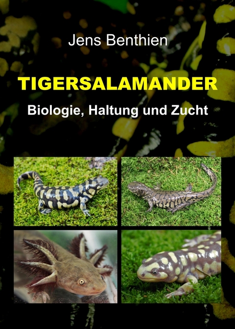 Tigersalamander - Jens Benthien