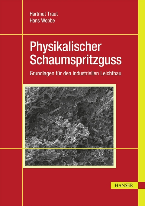 Physikalischer Schaumspritzguss - Hartmut Traut, Hans Wobbe