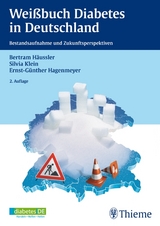 Weißbuch Diabetes in Deutschland - Ernst-Günther Hagenmeyer, Bertram Häussler, Silvia Klein