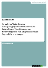 In welcher Weise können sozialpädagogische Maßnahmen zur Entwicklung/ Stabilisierung des Kohärenzgefühls von drogennutzenden Jugendlichen beitragen - David Seifarth