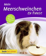 Mein Meerschweinchen zu Hause - Petra Dietz, Eva-Grit Schneider