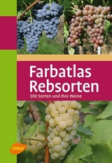 Rebsorten - Ambrosi, Hans; Hill, Bernd H. E.; Maul, Erika; Forschungsanstalt Geisenheim; Schmid, Joachim; Schumann, Fritz