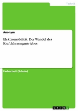 Elektromobilität. Der Wandel des Kraftfahrzeugantriebes