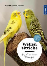 Wellensittiche - Wencke Sabrina Schacht