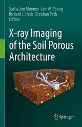 X-ray Imaging of the Soil Porous Architecture - 