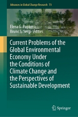 Current Problems of the Global Environmental Economy Under the Conditions of Climate Change and the Perspectives of Sustainable Development - 