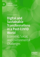 Digital and Sustainable Transformations in a Post-COVID World - 