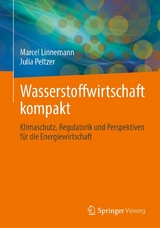 Wasserstoffwirtschaft kompakt - Marcel Linnemann, Julia Peltzer