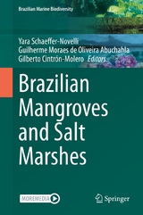 Brazilian Mangroves and Salt Marshes - 