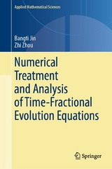 Numerical Treatment and Analysis of Time-Fractional Evolution Equations - Bangti Jin, Zhi Zhou