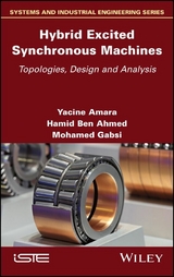 Hybrid Excited Synchronous Machines -  Hamid Ben Ahmed,  Yacine Amara,  Mohamed Gabsi