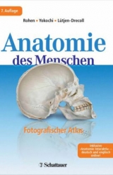 Anatomie des Menschen - Johannes W Rohen, Chihiro Yokochi, Elke Lütjen-Drecoll