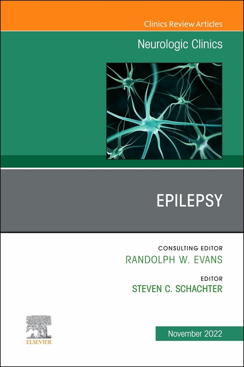 Epilepsy, An Issue of Neurologic Clinics, E-Book - 