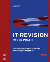 IT-Revision in der Praxis - Klaus Schmidt, Dirk Brand