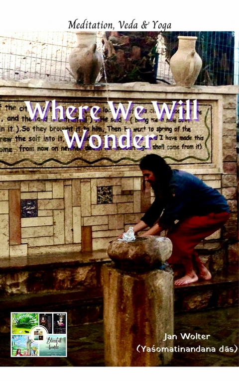 Where We Will Wonder -  Jan Wolter