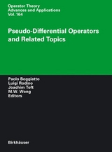 Pseudo-Differential Operators and Related Topics - 