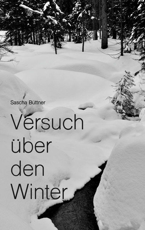 Versuch über den Winter - Sascha Büttner