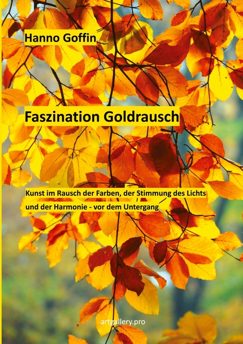 Faszination Goldrausch - Hanno Goffin