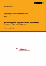 Der anthropogene Treibhauseffekt. Ein Überblick über Ursachen, Folgen und Kipppunkte - David Barbulescu