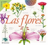 Las flores - Maria Àngels Julivert