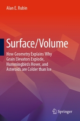 Surface/Volume - Alan E. Rubin