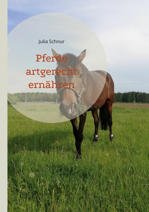 Pferde artgerecht ernähren - Julia Schnur