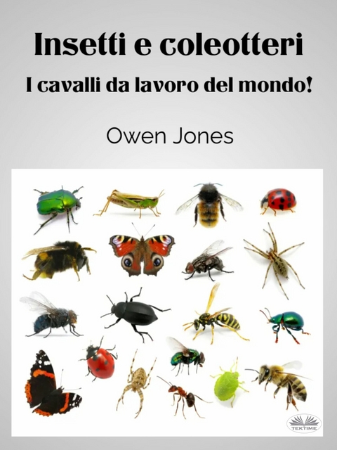 Insetti E Coleotteri - Owen Jones