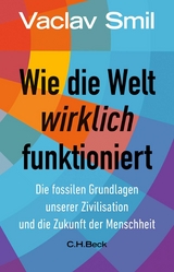 Wie die Welt wirklich funktioniert - Vaclav Smil