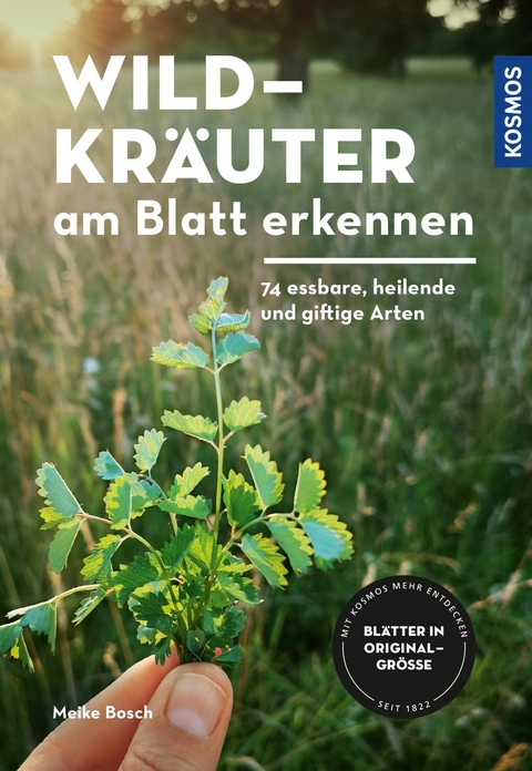 Wildkräuter am Blatt erkennen - Meike Bosch