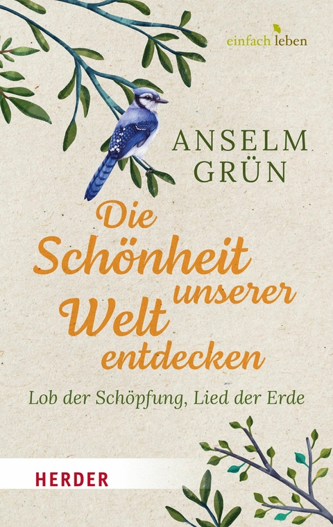 Die Schönheit unserer Welt entdecken - Anselm Grün