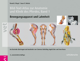 Bild-Text-Atlas zur Anatomie und Klinik des Pferdes - Riegel, Ronald J.; Hakola, Susan E.