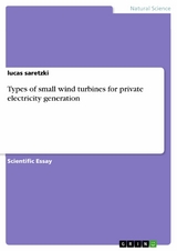 Types of small wind turbines for private electricity generation - Lucas Saretzki