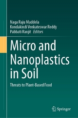 Micro and Nanoplastics in Soil - 