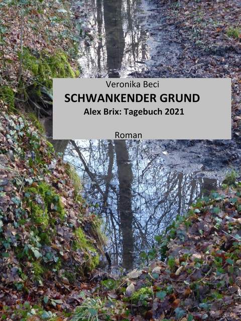 Schwankender Grund - Veronika Beci