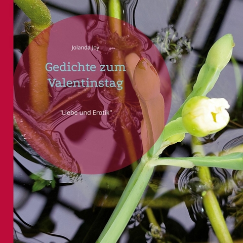 Gedichte zum Valentinstag - Jolanda Joy