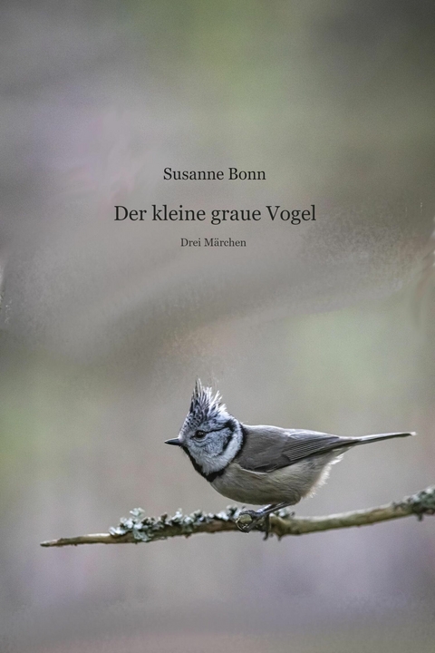 Der kleine graue Vogel - Susanne Bonn