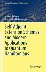 Self-Adjoint Extension Schemes and Modern Applications to Quantum Hamiltonians - Matteo Gallone, Alessandro Michelangeli