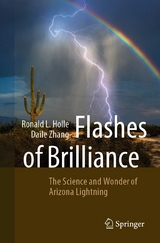 Flashes of Brilliance - Ronald L. Holle, Daile Zhang