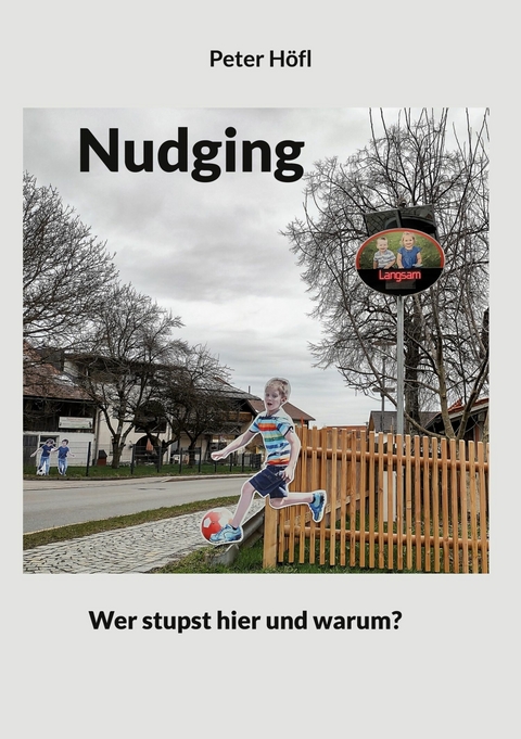 Nudging -  Peter Höfl