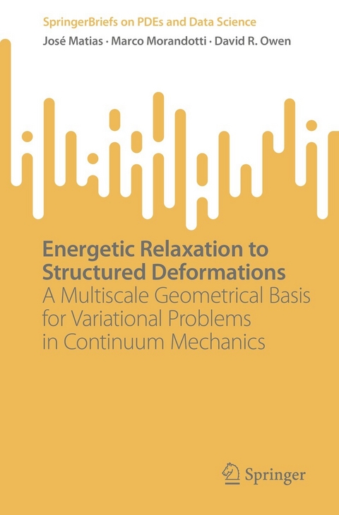 Energetic Relaxation to Structured Deformations - José Matias, Marco Morandotti, David R. Owen