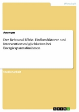 Der Rebound Effekt. Einflussfaktoren und Interventionsmöglichkeiten bei Energiesparmaßnahmen