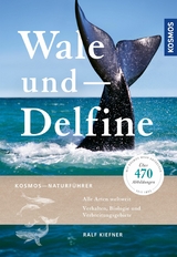 Wale und Delfine - Ralf Kiefner