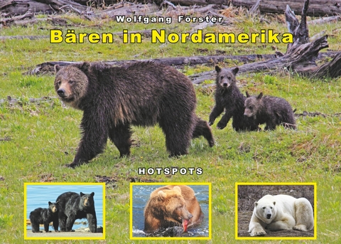 Bären in Nordamerika -  Wolfgang Förster