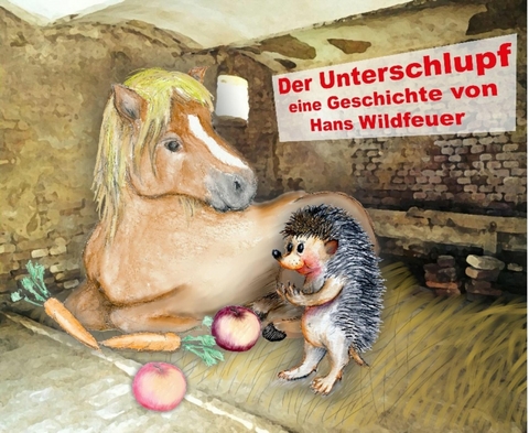 Der Unterschlupf - Hans Wildfeuer