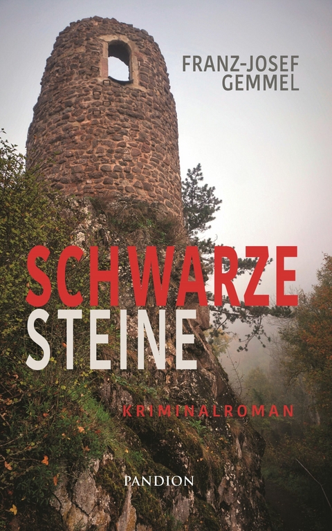 Schwarze Steine: Kriminalroman -  Franz-Josef Gemmel