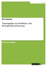 Trainingsplan zur Mobilitäts- und Beweglichkeitsförderung - Nico Schulze