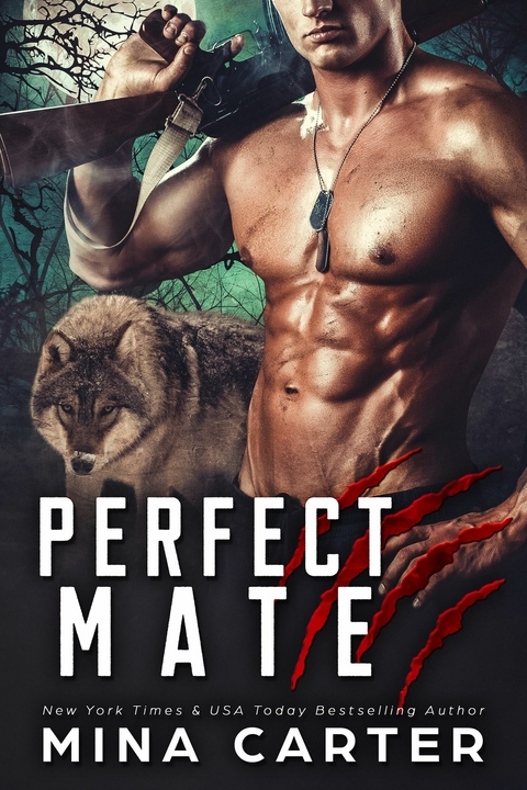 Perfect Mate -  Mina Carter