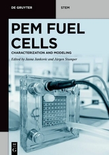 PEM Fuel Cells - 